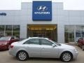 2010 Radiant Silver Hyundai Sonata Limited V6  photo #1