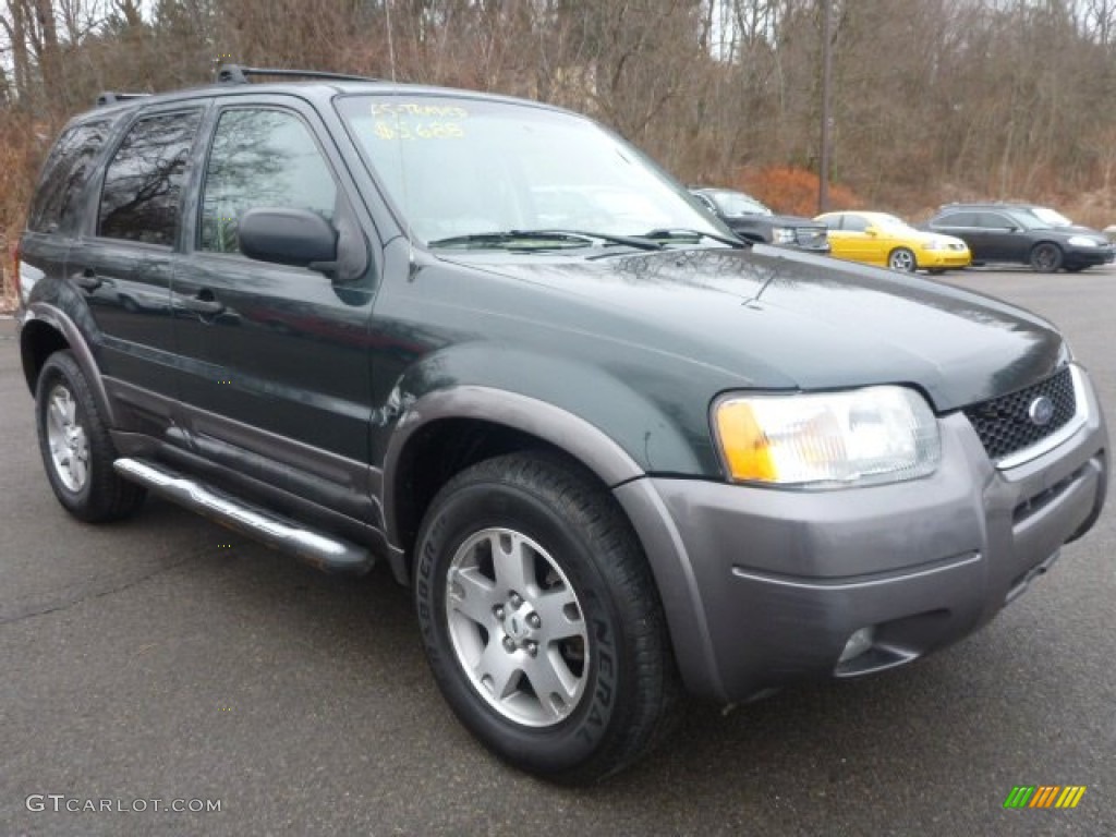 2003 Escape XLT V6 4WD - Aspen Green Metallic / Medium Dark Pebble photo #5