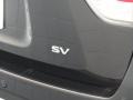 Super Black - Pathfinder SV Photo No. 6