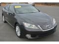 Smoky Granite Mica 2010 Lexus ES 350