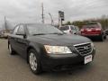 Willow Gray - Sonata GLS Photo No. 1