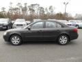 Willow Gray - Sonata GLS Photo No. 4