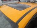 2014 Tangerine Scream Ford Focus ST Hatchback  photo #7