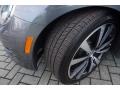Platinum Gray Metallic - Beetle Turbo Photo No. 34