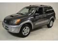 Graphite Gray Pearl - RAV4  Photo No. 9