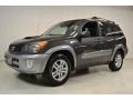Graphite Gray Pearl - RAV4  Photo No. 10