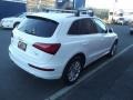 Ibis White - Q5 2.0 TFSI quattro Photo No. 4