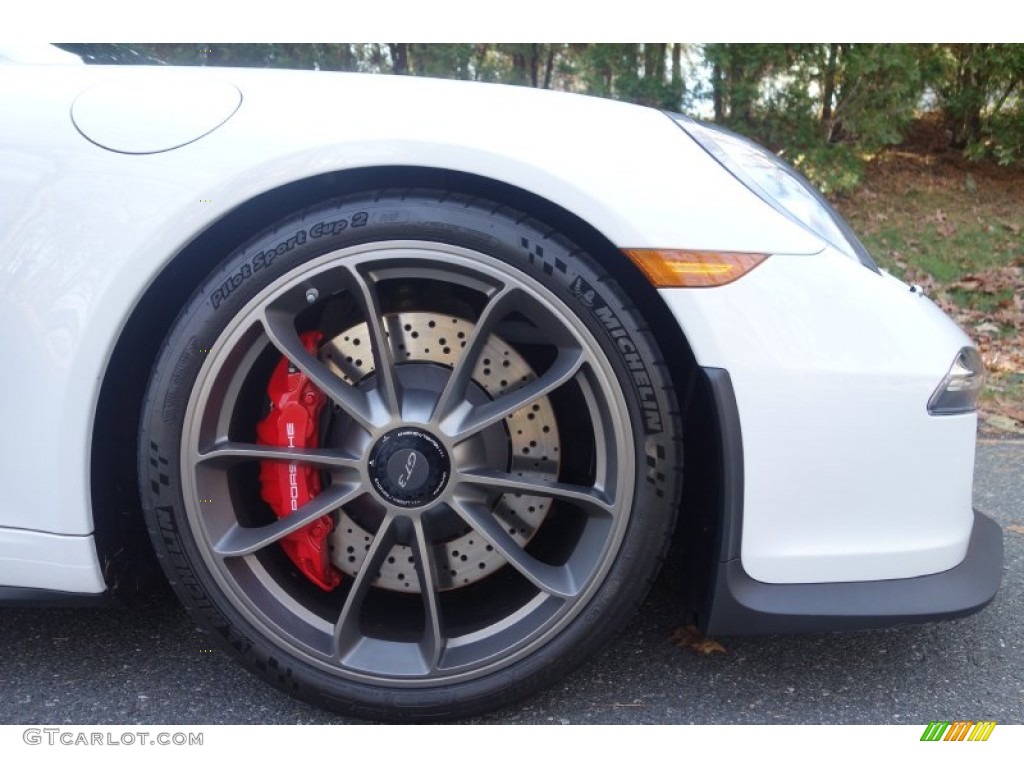 2014 Porsche 911 GT3 Wheel Photo #100107848