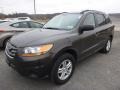 Espresso Brown - Santa Fe GLS AWD Photo No. 4