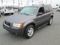 2004 Dark Shadow Grey Metallic Ford Escape XLT V6 4WD  photo #2