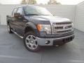 2014 Blue Jeans Ford F150 XLT SuperCrew 4x4  photo #2