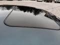 Shadow Blue - Passat 2.0T Sedan Photo No. 30