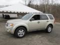Gold Leaf Metallic 2012 Ford Escape XLT