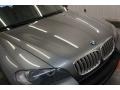 Space Grey Metallic - X5 4.8i Photo No. 42