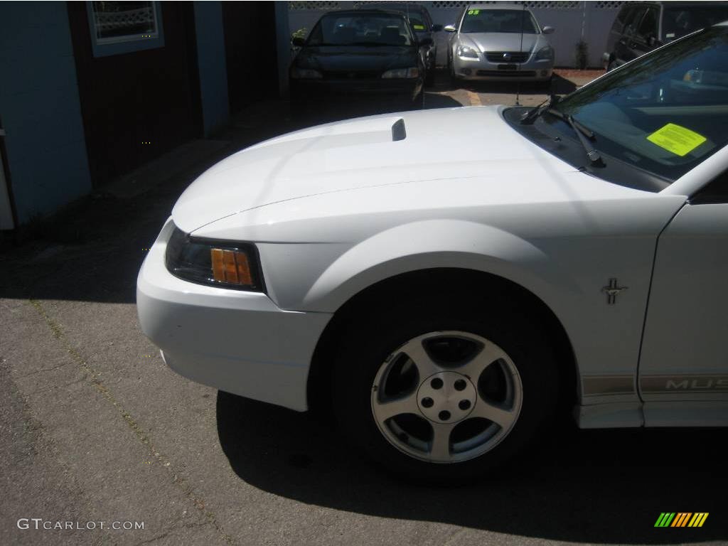 2002 Mustang V6 Coupe - Oxford White / Medium Parchment photo #7