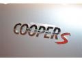 Crystal Silver Metallic - Cooper S Countryman Photo No. 19