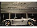 GT Silver Metallic - Carrera GT  Photo No. 11