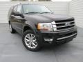 Tuxedo Black Metallic 2015 Ford Expedition Limited Exterior