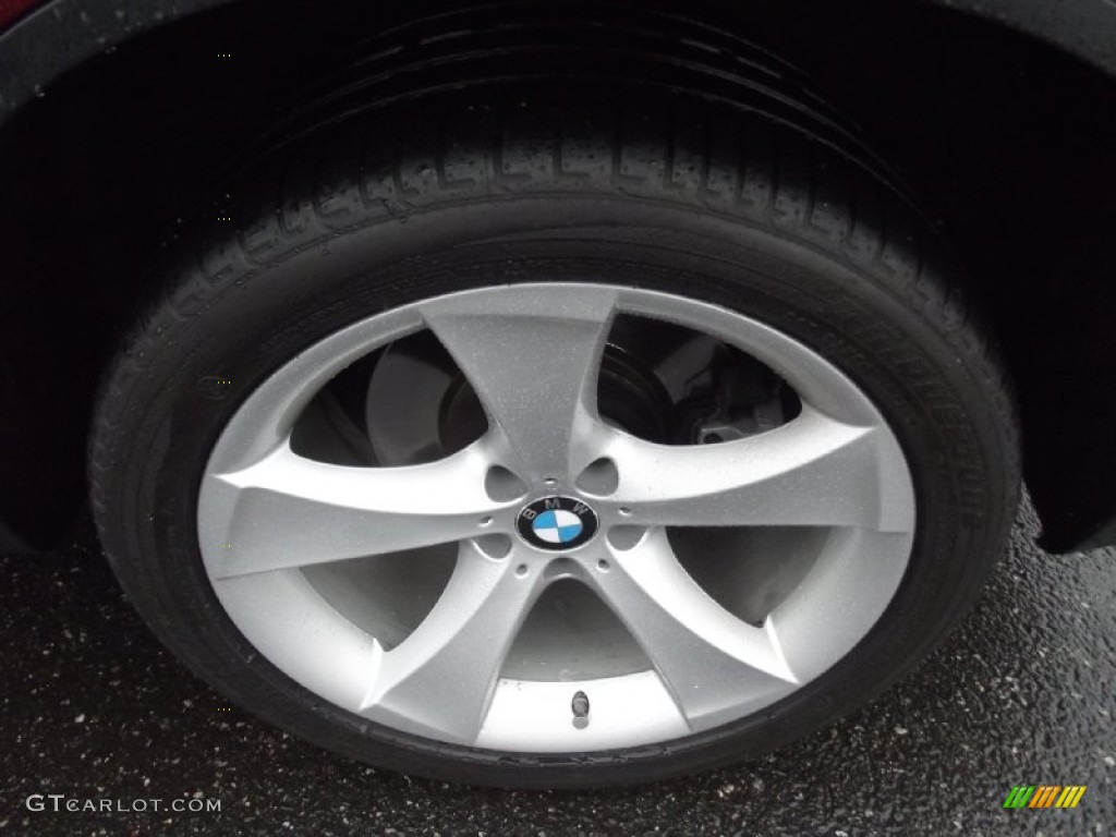 2010 BMW X6 xDrive50i Wheel Photos