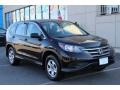 2013 Crystal Black Pearl Honda CR-V LX AWD  photo #3