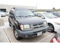 Super Black - Xterra SE V6 Photo No. 7