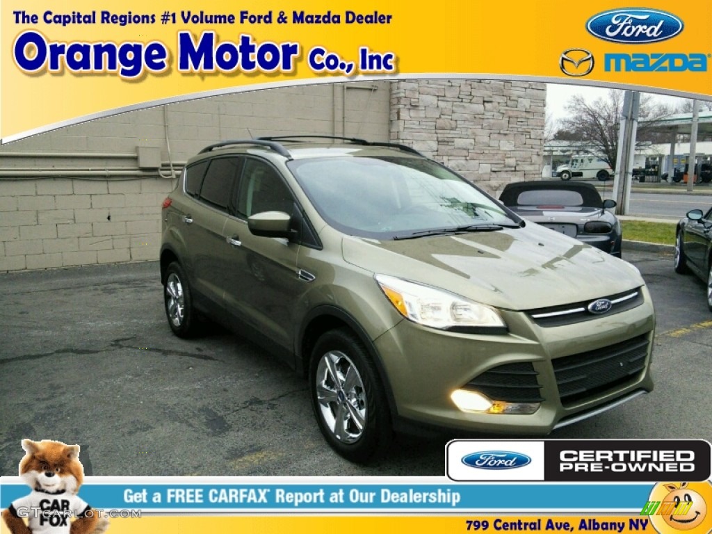 2013 Escape SE 1.6L EcoBoost 4WD - Ginger Ale Metallic / Medium Light Stone photo #1