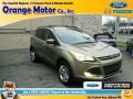 2013 Ginger Ale Metallic Ford Escape SE 1.6L EcoBoost 4WD  photo #1