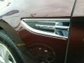 Cinnamon Metallic - Taurus SEL Photo No. 10