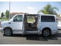 2009 Summit White Chevrolet Express 1500 Passenger Conversion  photo #18