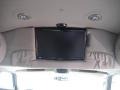 2009 Sandstone Metallic Chevrolet Express 1500 Passenger Conversion  photo #5