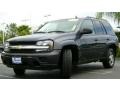 2007 Graphite Metallic Chevrolet TrailBlazer LS  photo #1