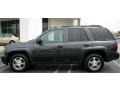 2007 Graphite Metallic Chevrolet TrailBlazer LS  photo #2