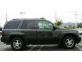 2007 Graphite Metallic Chevrolet TrailBlazer LS  photo #6