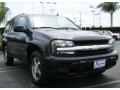 2007 Graphite Metallic Chevrolet TrailBlazer LS  photo #7