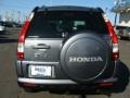 Pewter Pearl - CR-V SE 4WD Photo No. 5