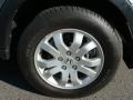 2006 Pewter Pearl Honda CR-V SE 4WD  photo #14