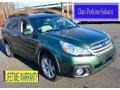 Cypress Green Pearl 2013 Subaru Outback 2.5i Premium