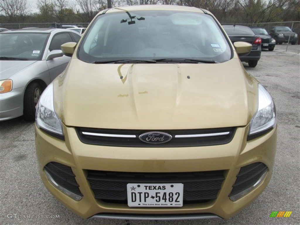 2014 Escape SE 1.6L EcoBoost - Karat Gold / Charcoal Black photo #4