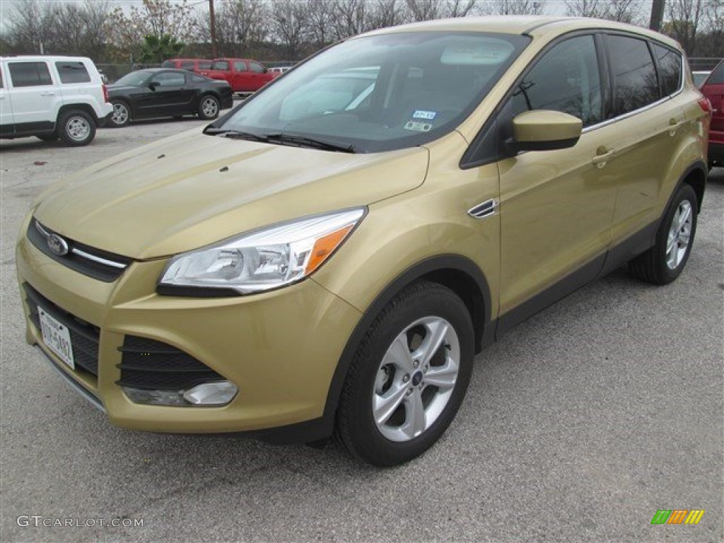 2014 Escape SE 1.6L EcoBoost - Karat Gold / Charcoal Black photo #6