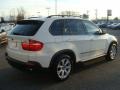 Alpine White - X5 4.8i Photo No. 8