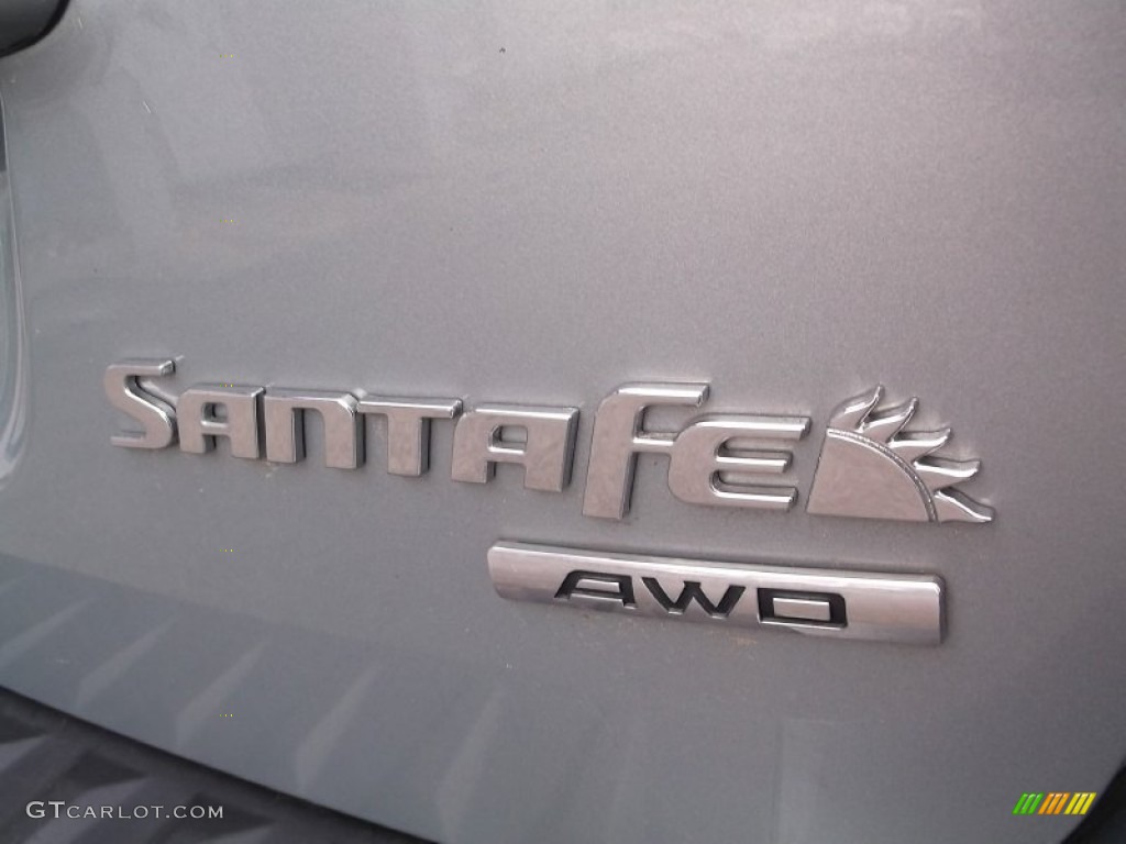 2009 Santa Fe GLS 4WD - Platinum Sage / Gray photo #10