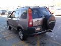 Mojave Mist Metallic - CR-V EX 4WD Photo No. 7