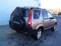 Mojave Mist Metallic - CR-V EX 4WD Photo No. 9