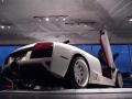 2008 Bianco Isis (Pearl White) Lamborghini Murcielago LP640 Roadster  photo #6