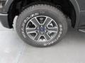 2015 Ford F150 XLT SuperCrew 4x4 Wheel and Tire Photo