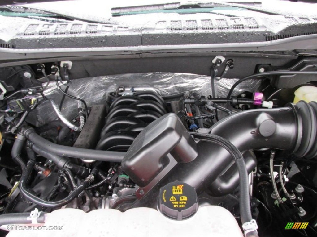2015 Ford F150 XLT SuperCrew 4x4 5.0 Liter DOHC 32-Valve Ti-VCT FFV V8 Engine Photo #100294485