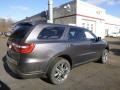 Granite Crystal Metallic - Durango SXT Plus AWD Photo No. 4