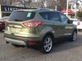 2013 Ginger Ale Metallic Ford Escape Titanium 2.0L EcoBoost 4WD  photo #3