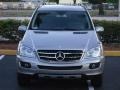 Pewter Metallic - ML 350 4Matic Photo No. 1