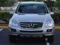 Pewter Metallic - ML 350 4Matic Photo No. 2